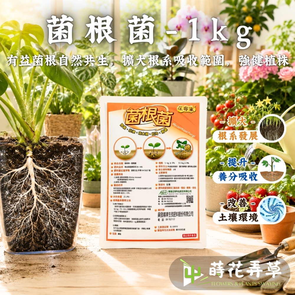 菌根菌 Mycorr