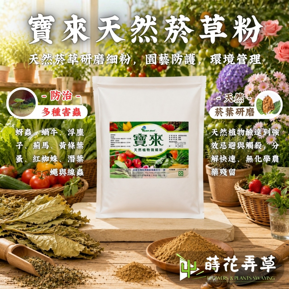寶來天然菸草粉