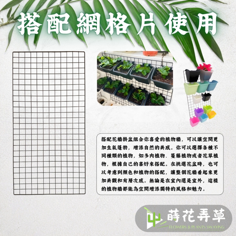 花牆掛盆(4吋、6吋)