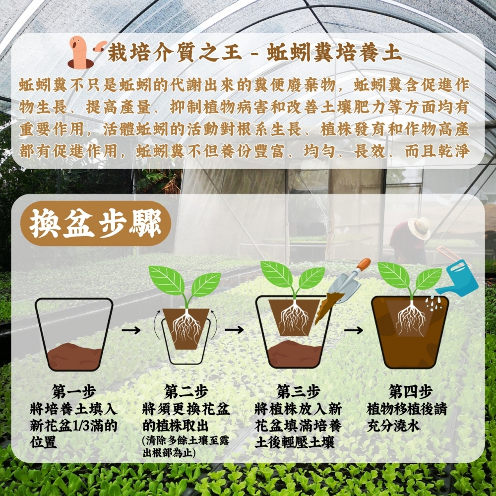 蚯蚓糞肥-蚯蚓哥哥(3公斤)