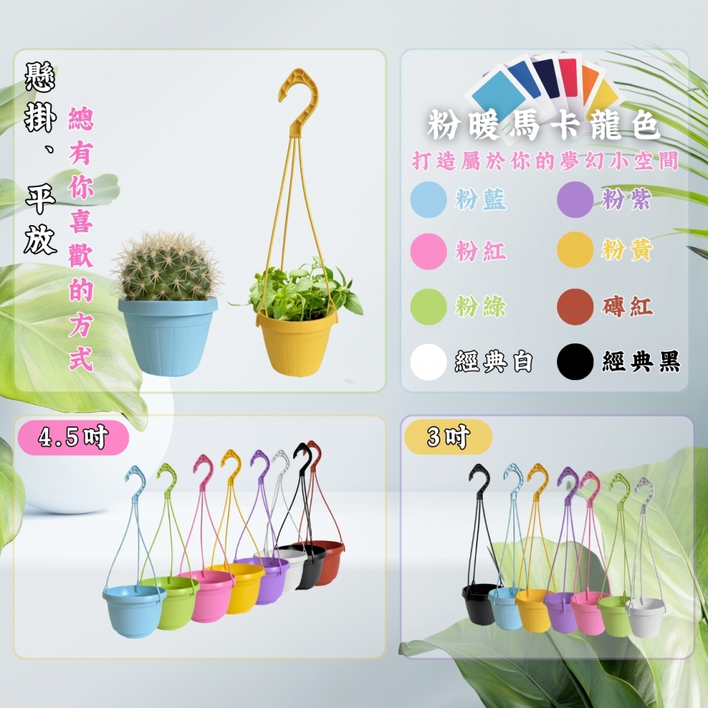 粉彩條紋吊盆(3、4.5吋)