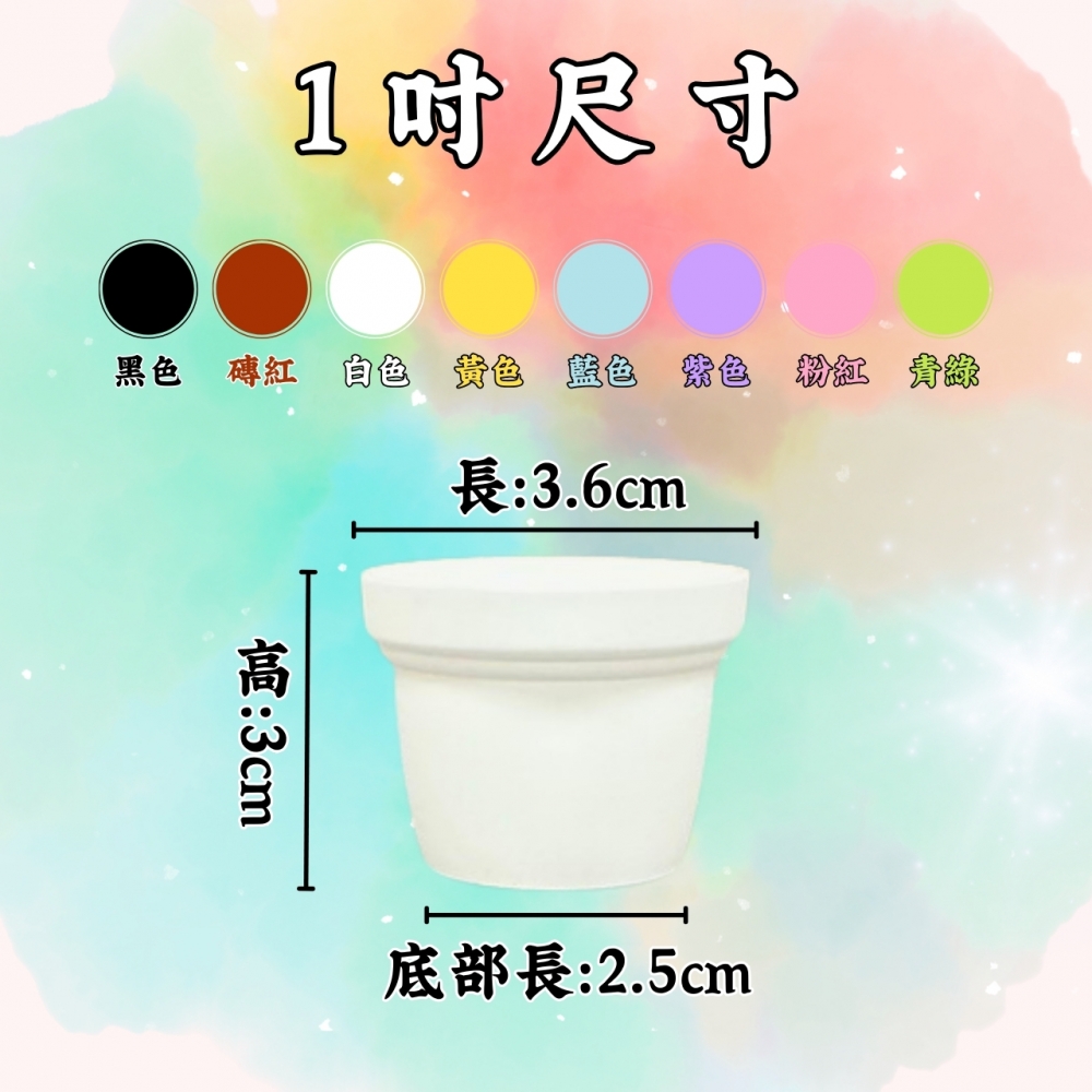 (1~3吋)多彩荷蘭盆