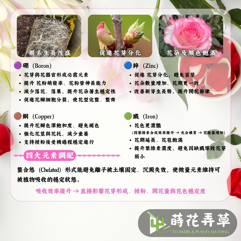 新促花王(250、1000ml) 