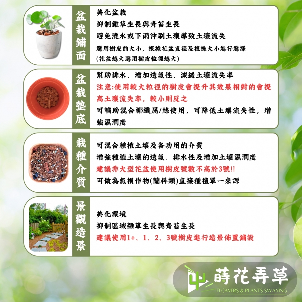 松樹皮