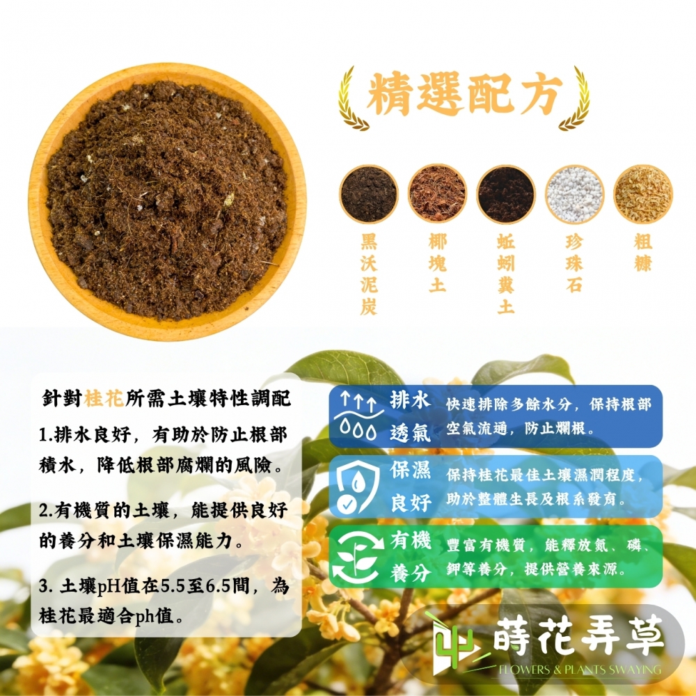 桂花種植土