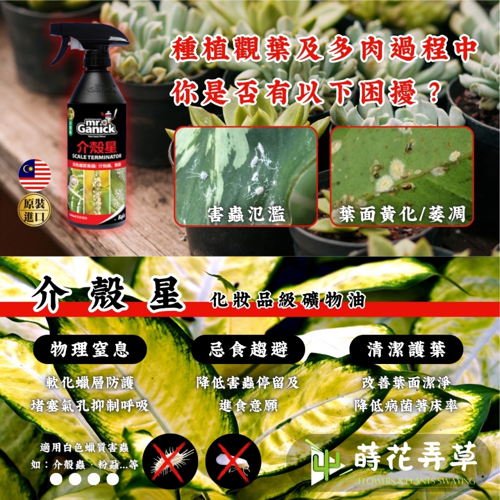 Mr. Ganick-介殼星(500ml)