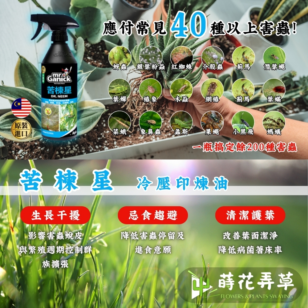Mr. Ganick-苦楝星 (500ml)