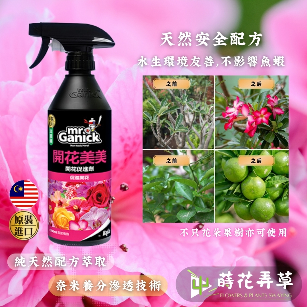 Mr. Ganick-開花美美(500ml)