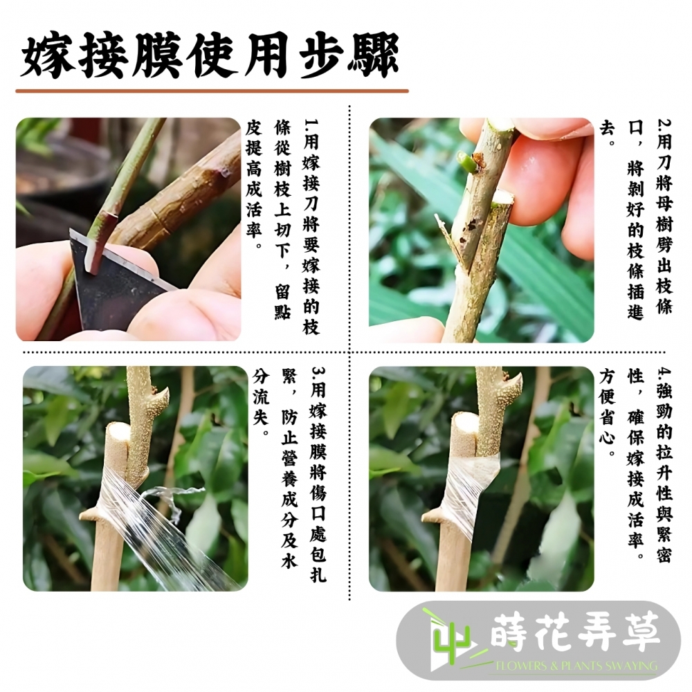 果樹嫁接膜(多款式)