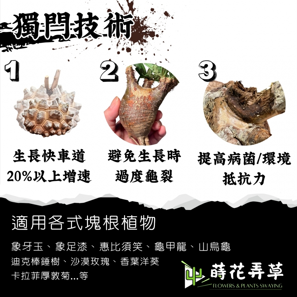 塊根植物營養液(500ml)