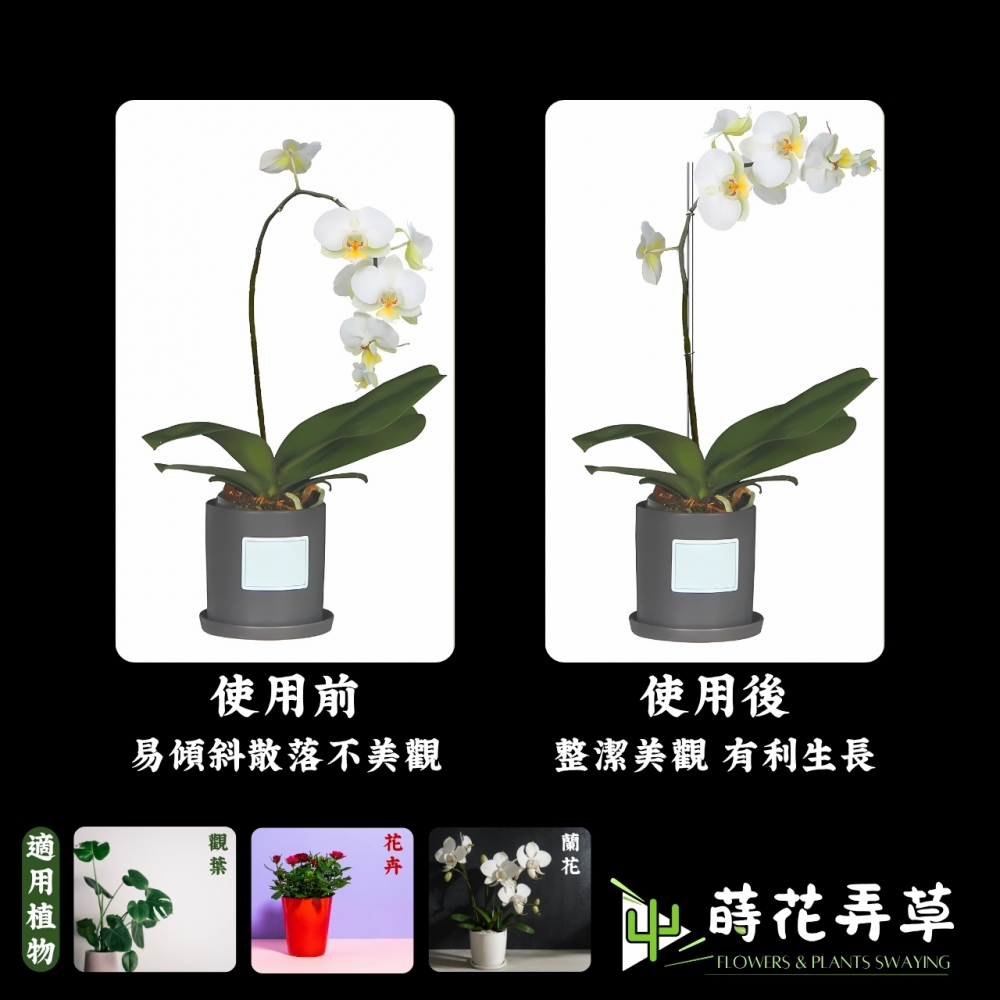 透明植物支撐架(多款長度)