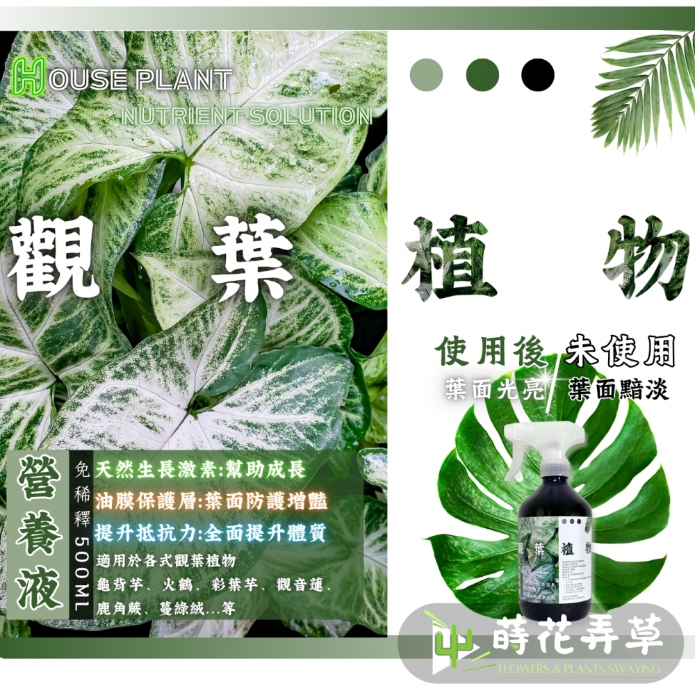 觀葉植物、多肉植物營養液 (500ml)