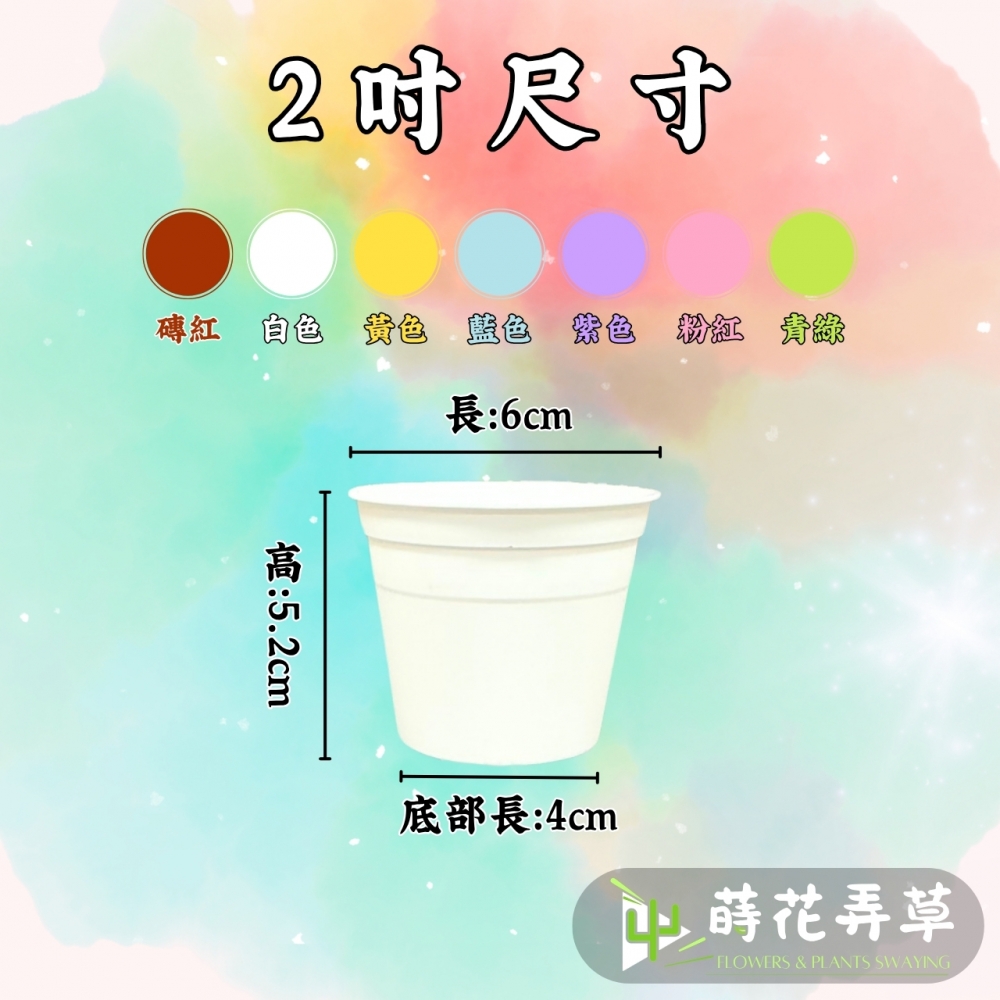 多彩荷蘭盆(2吋)