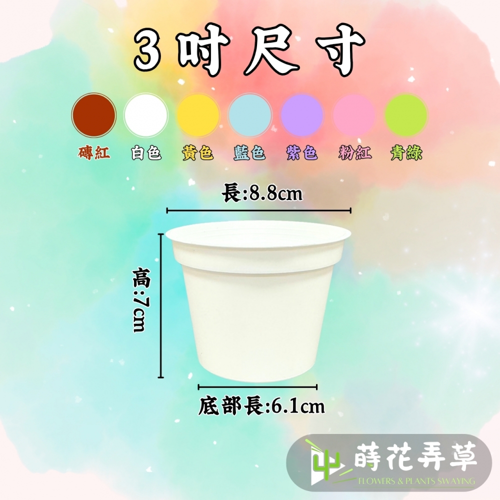 多彩荷蘭盆(3吋)