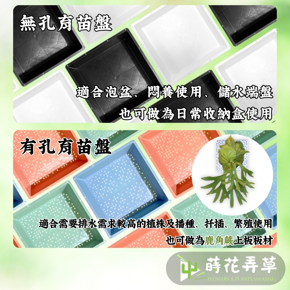 方型育苗盤(有孔、無孔)