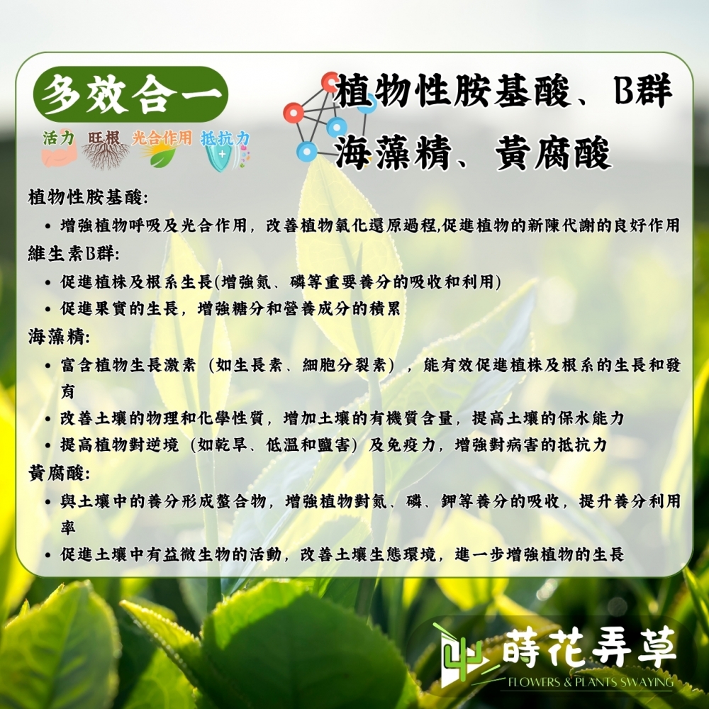 新旺根 (20公升)