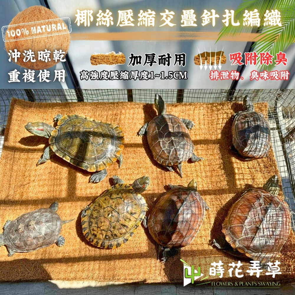 多用途椰棕墊 (大尺寸)