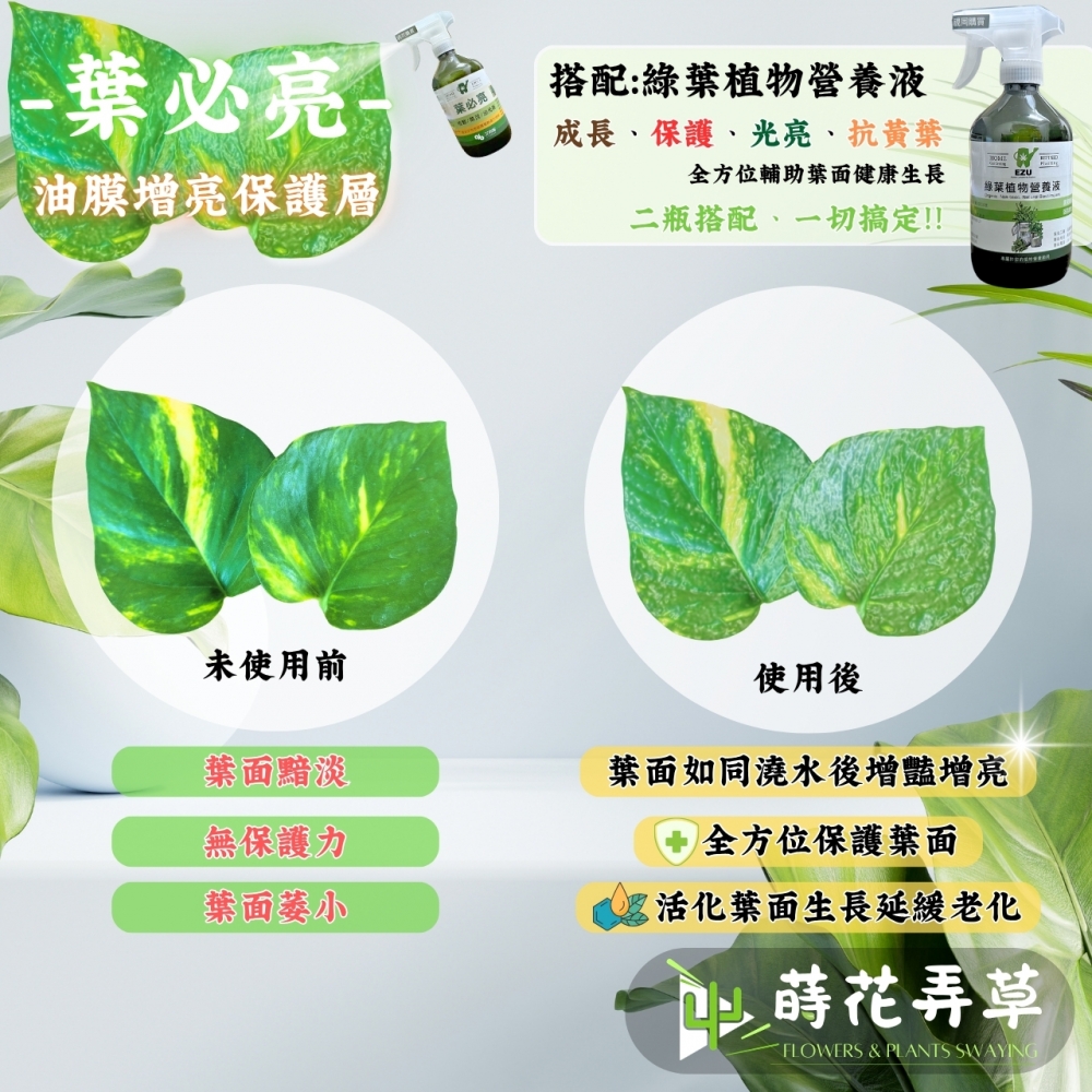 植物營養補給液(喜酸植物、綠葉植物、免爛根)