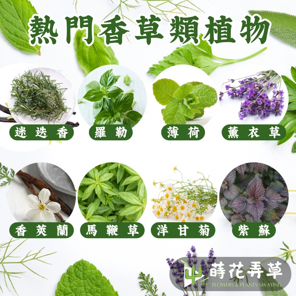 香草栽培土