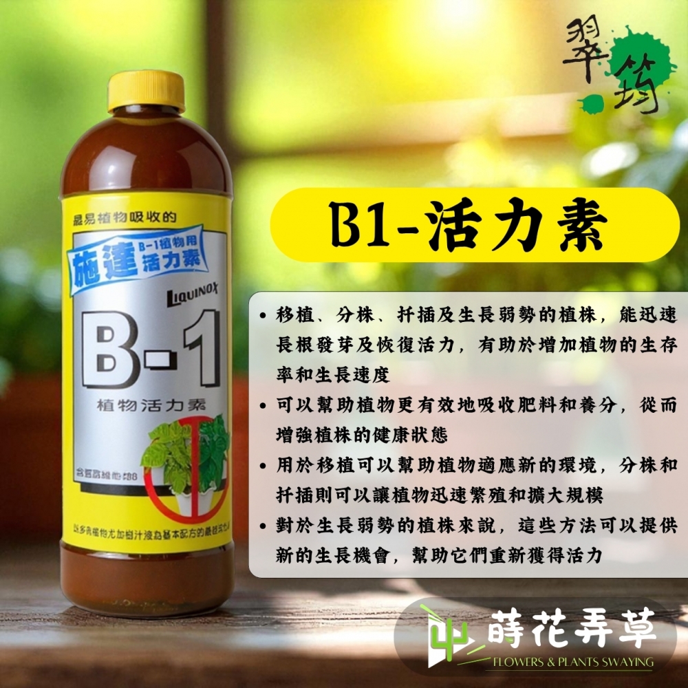 翠筠施達必旺(300cc)