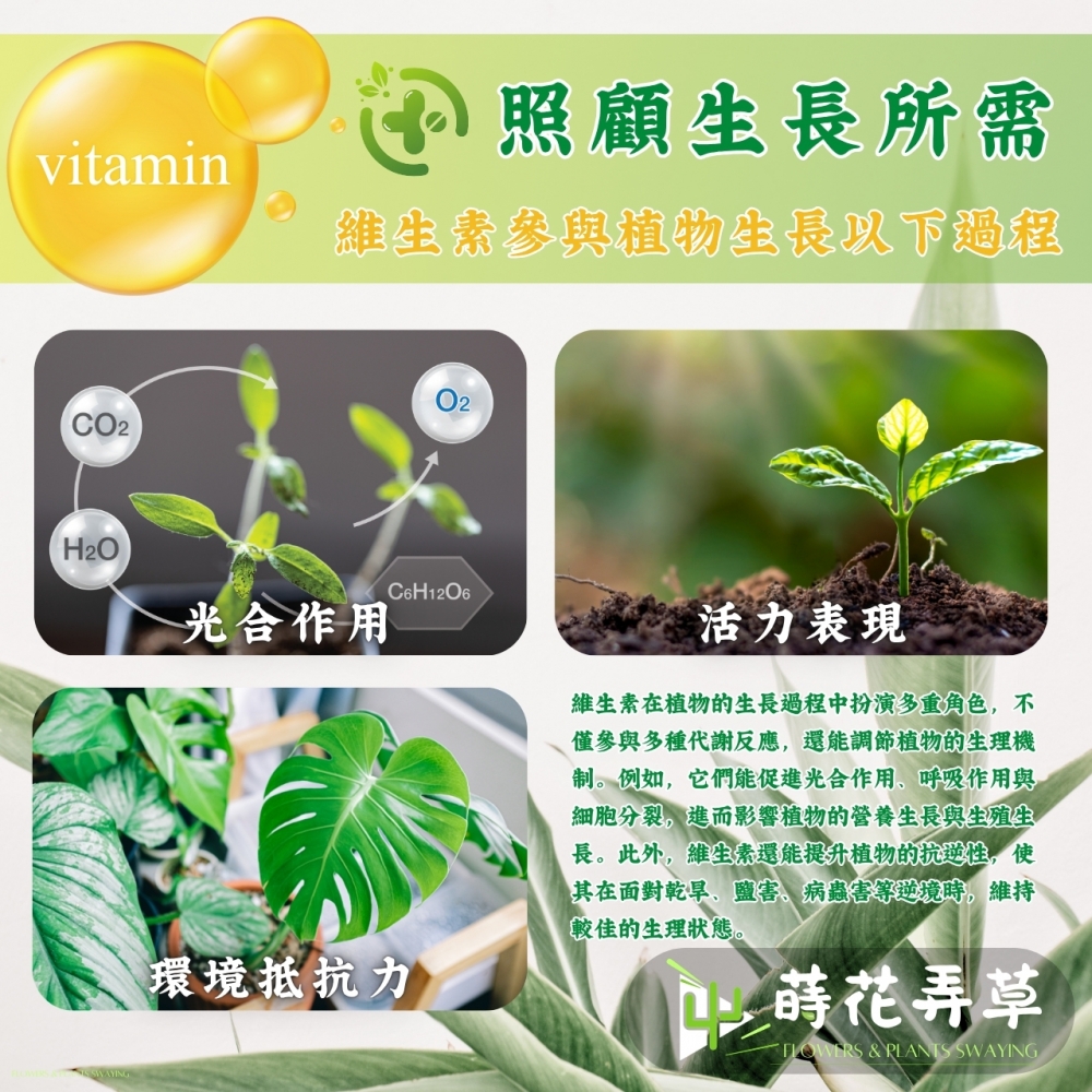植物維他命