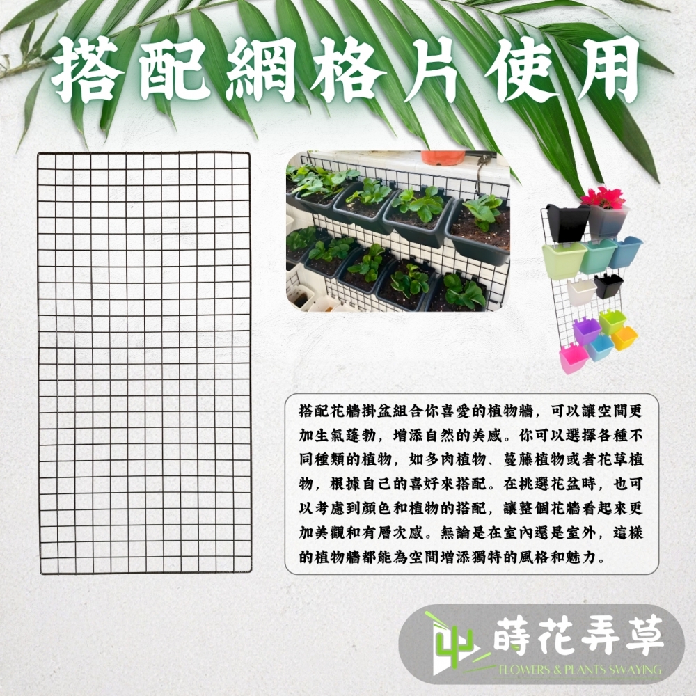 花牆掛盆(4吋、6吋)