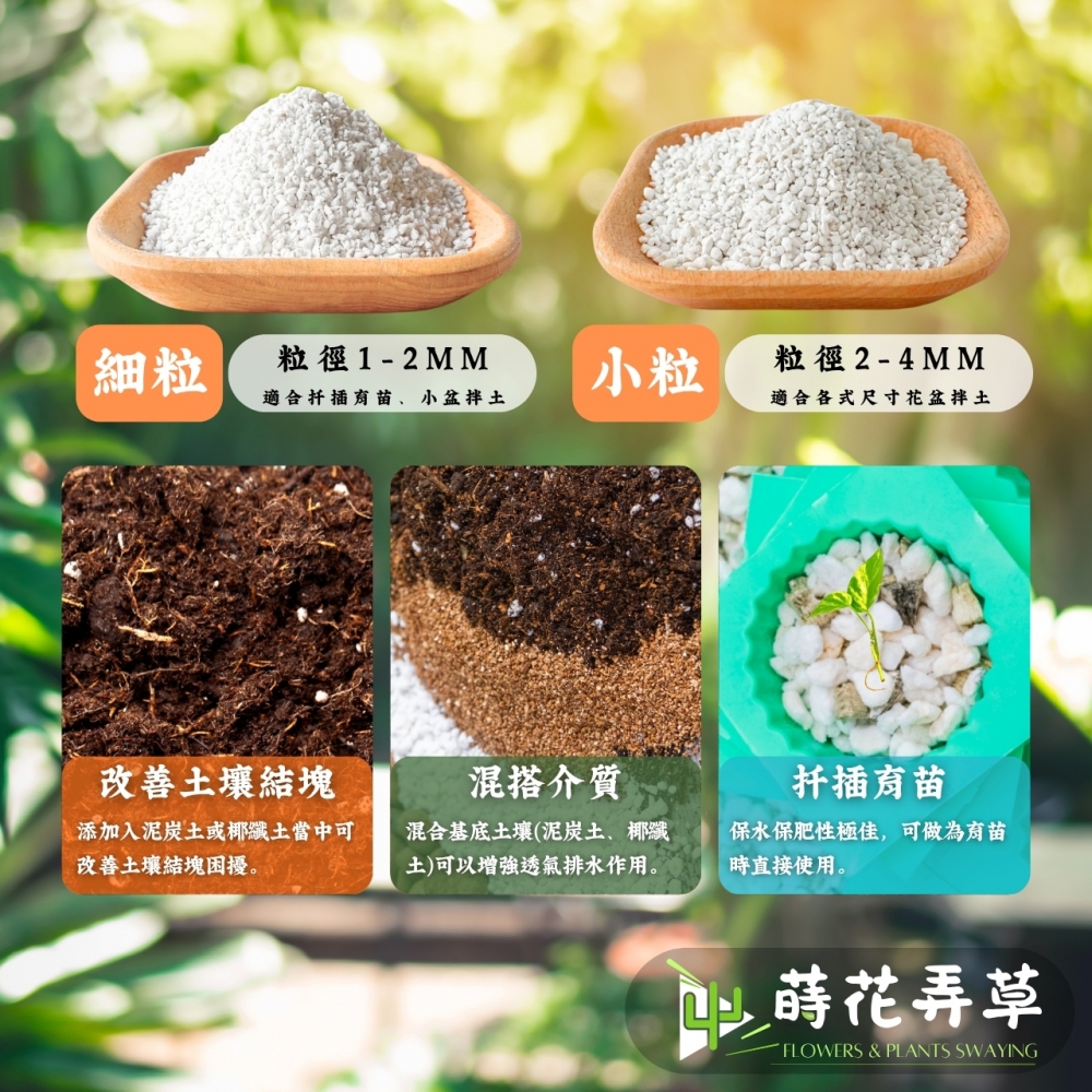 珍珠石 (細、小粒)
