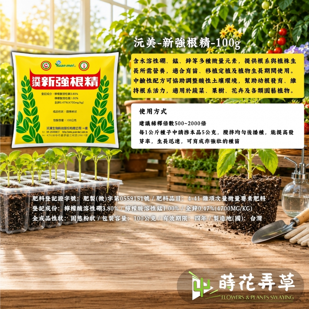 沅渼新強根精