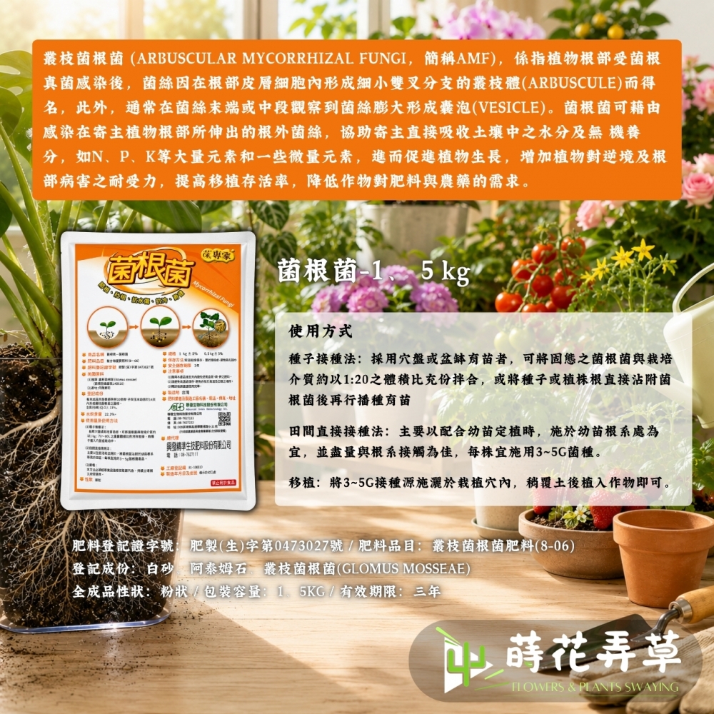 菌根菌 Mycorrhizal Fungi 有益真菌