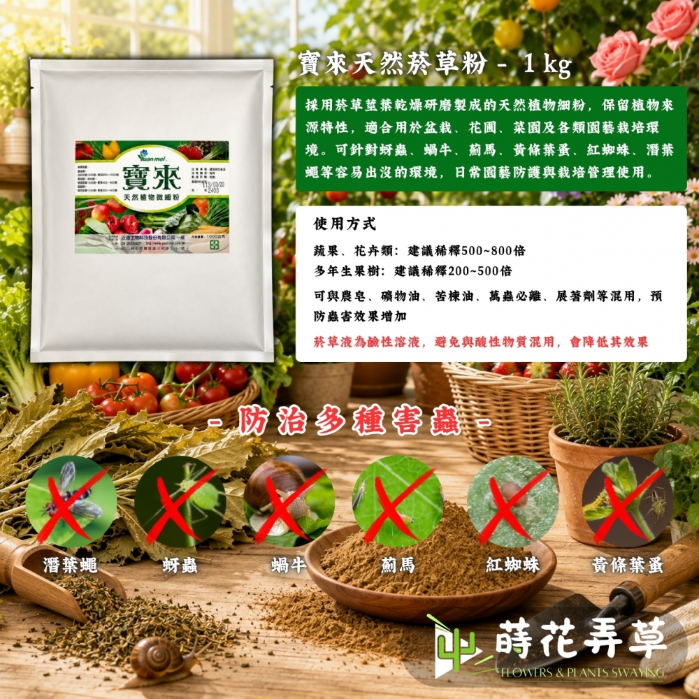 寶來天然菸草粉