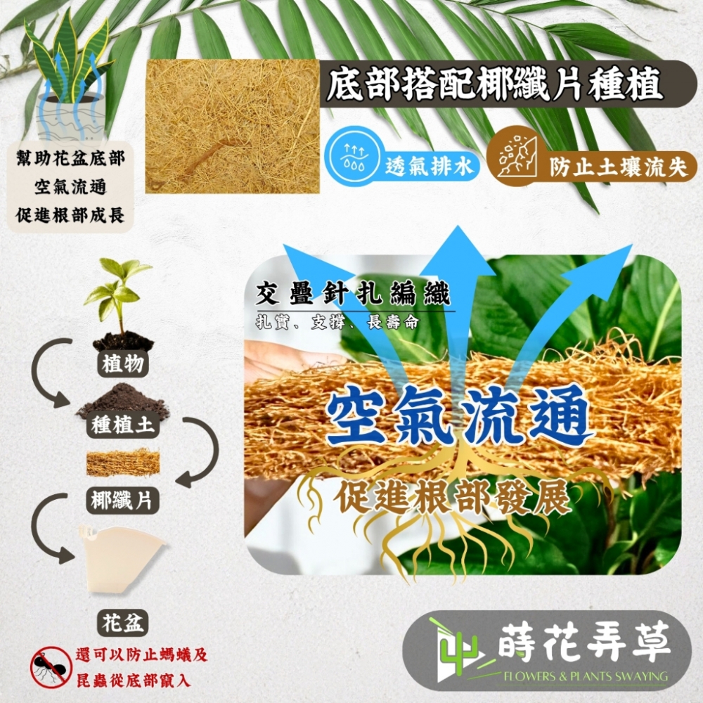 花牆掛盆(4吋、6吋)