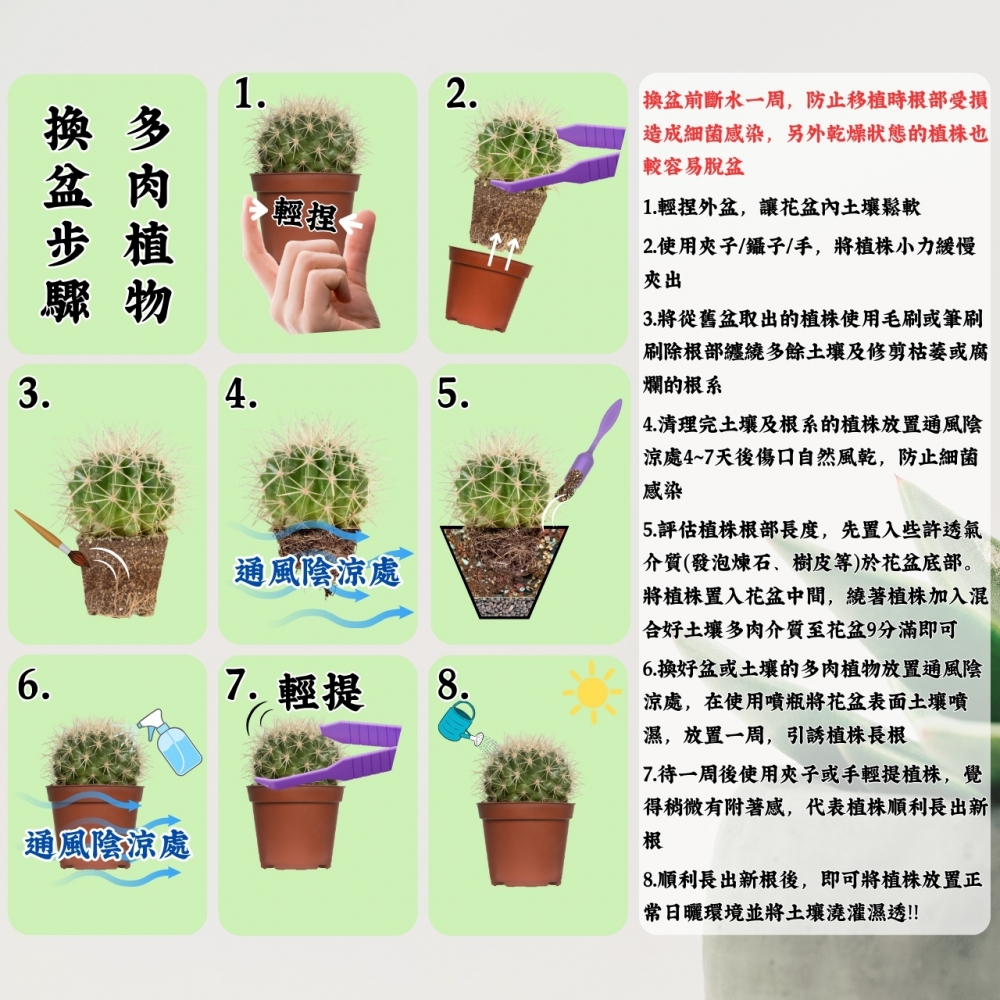 喜多肉多肉專用土(3、10公升)