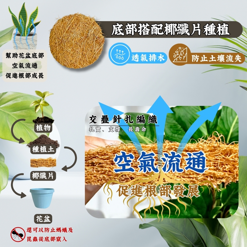 粉彩條紋吊盆(3、4.5吋)