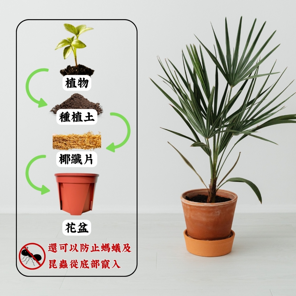 控根、六角形椰纖片