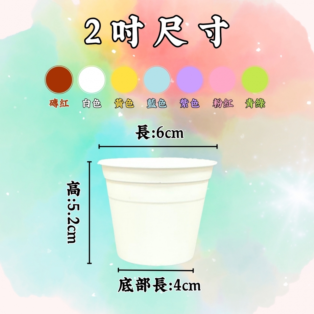 (1~3吋)多彩荷蘭盆