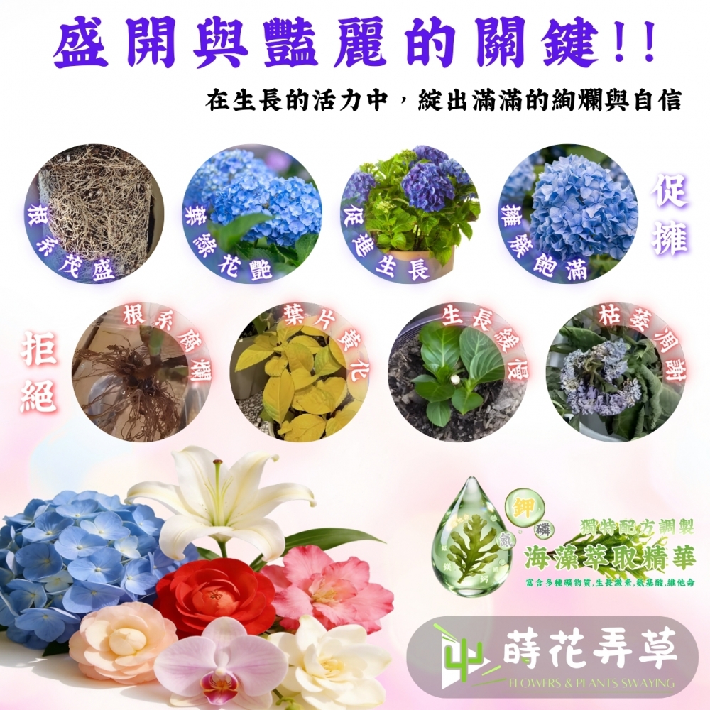 喜酸植物營養液