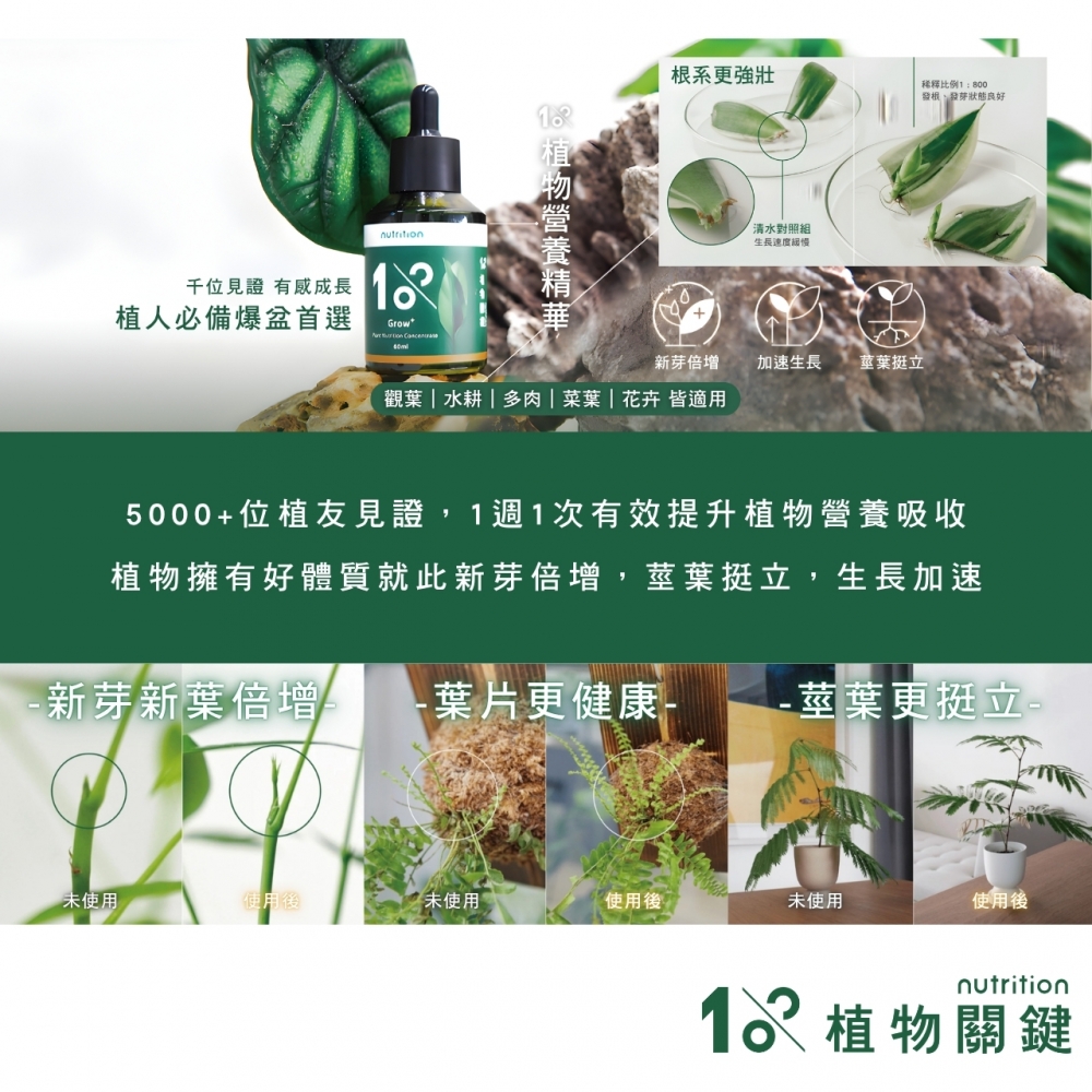 植物關鍵-植物精華液