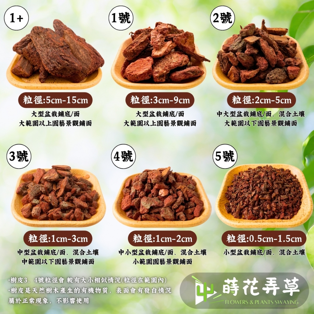 松樹皮
