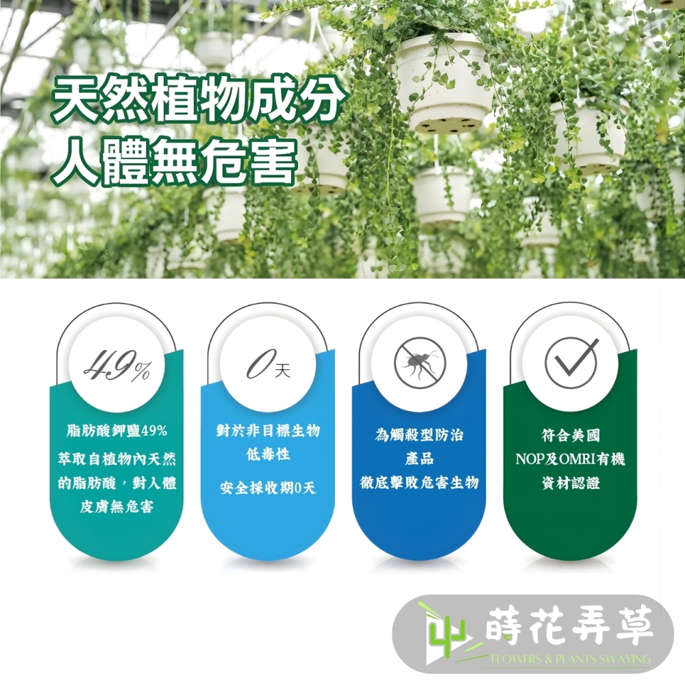 刺剋 (500ml)
