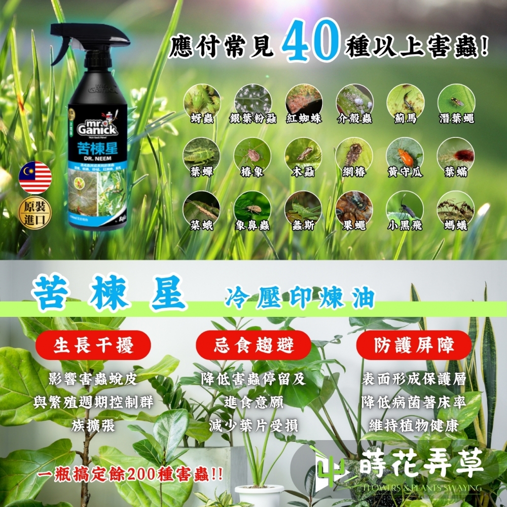 Mr. Ganick-苦楝星 (500ml)