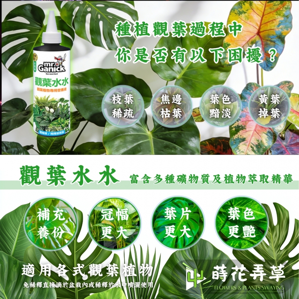 Mr. Ganick-觀葉水水(500ml)