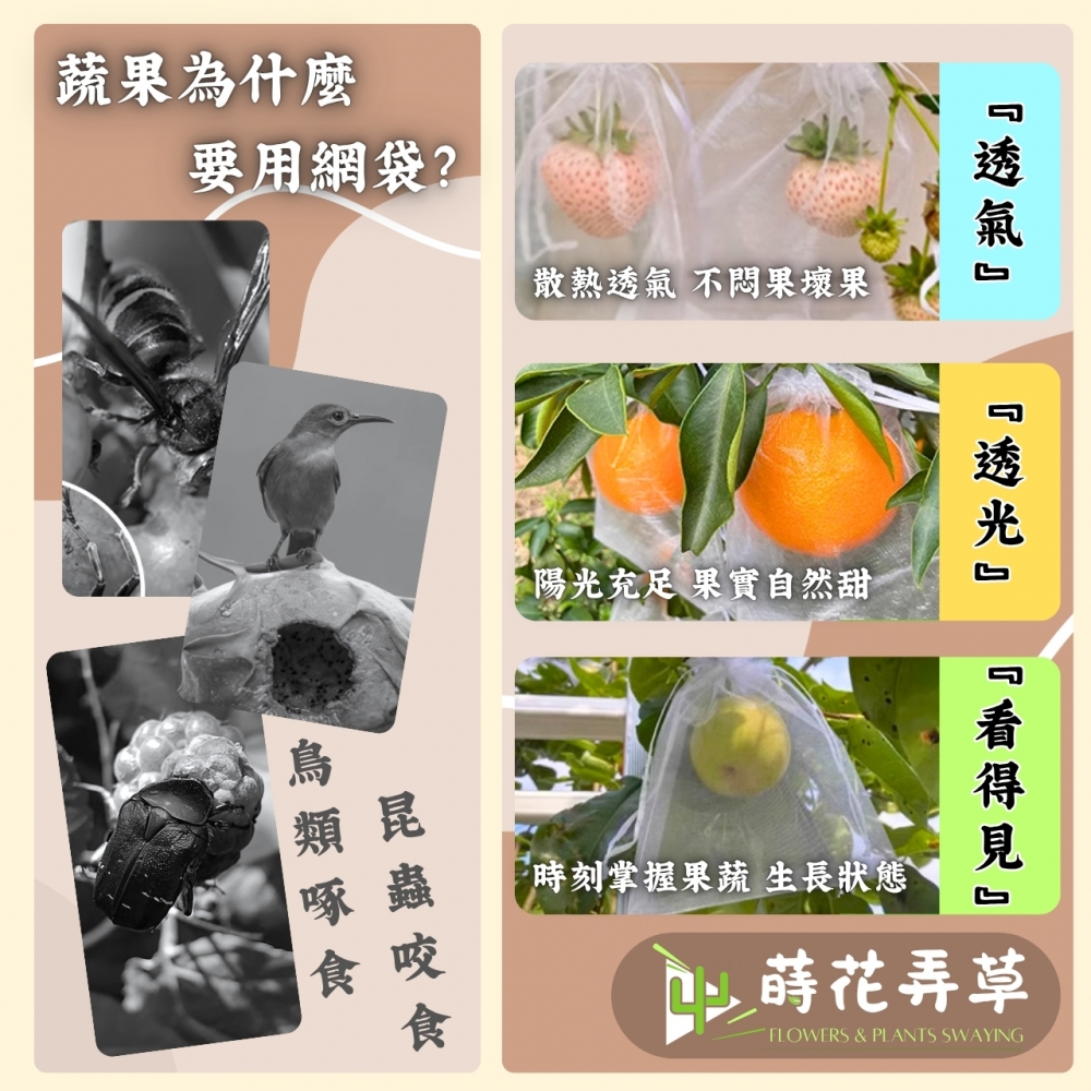 束口水果網袋(多規格)