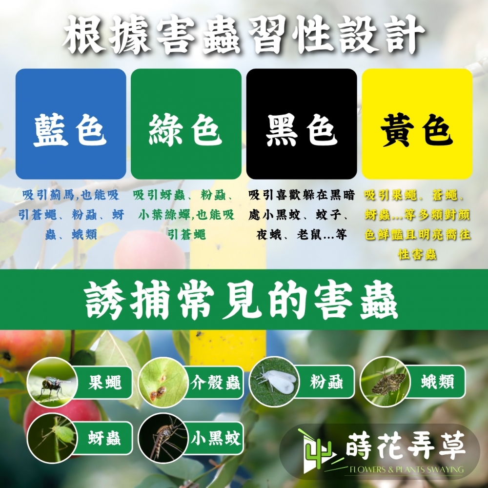 加大掛鉤黏蟲紙