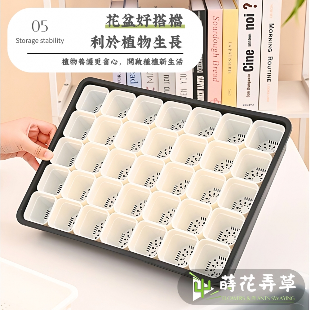 多用途端盤/育苗盤(多款顏色)