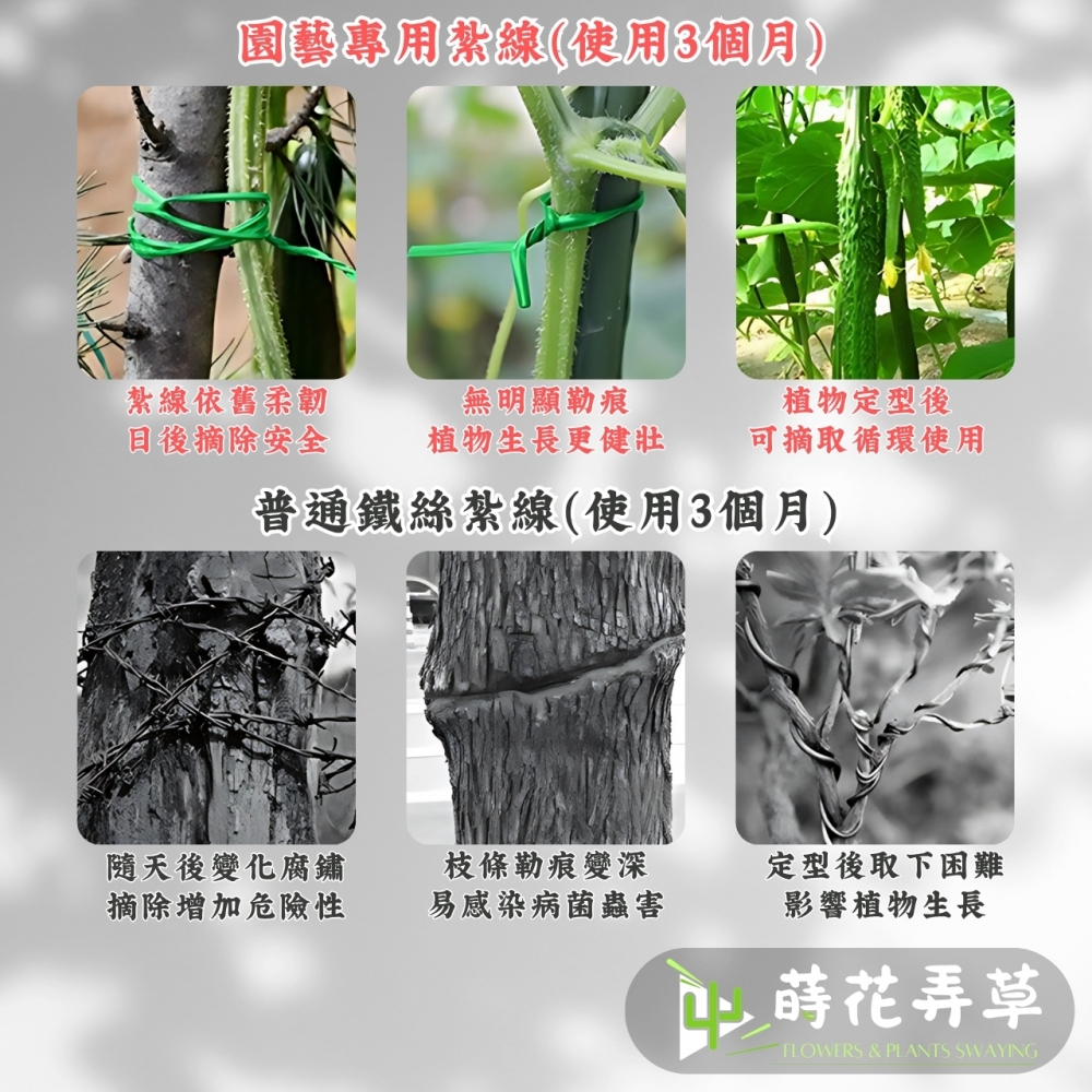 園藝綁帶附切斷器(20米、50米)