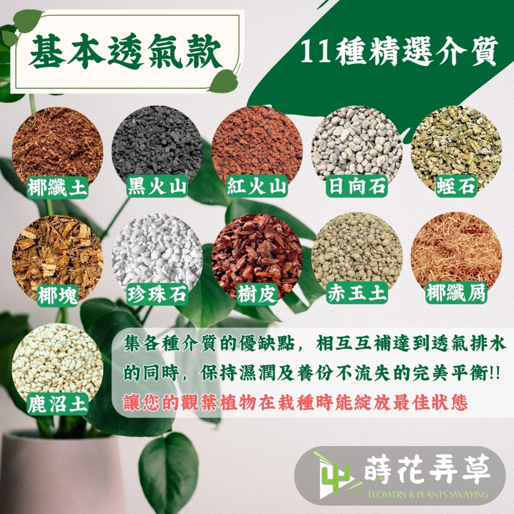觀葉植物專用栽培土