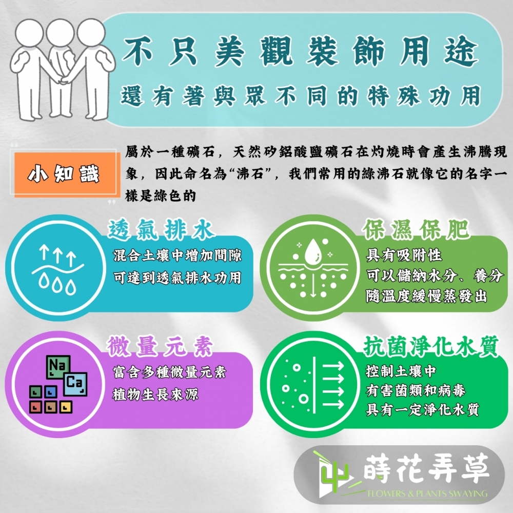 天然綠沸石(原包裝)