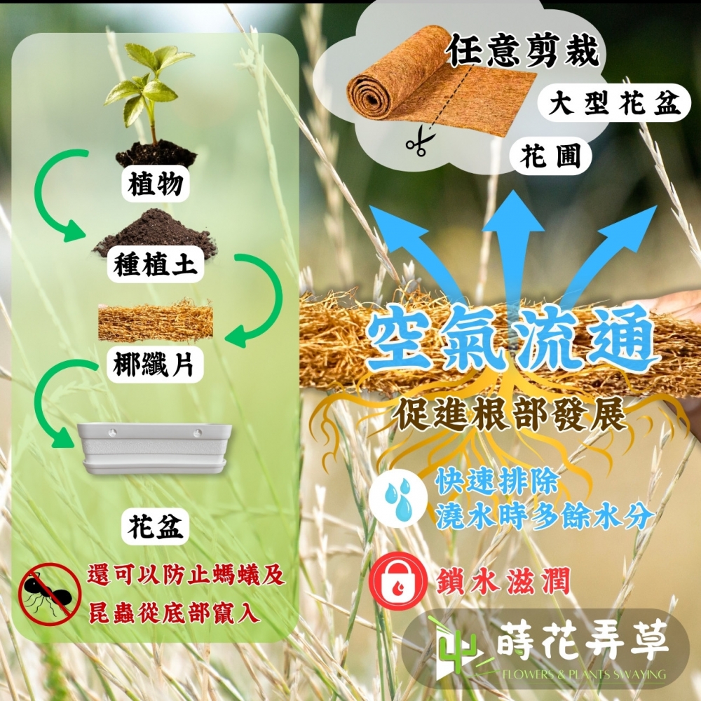 多用途椰棕墊 (大尺寸)