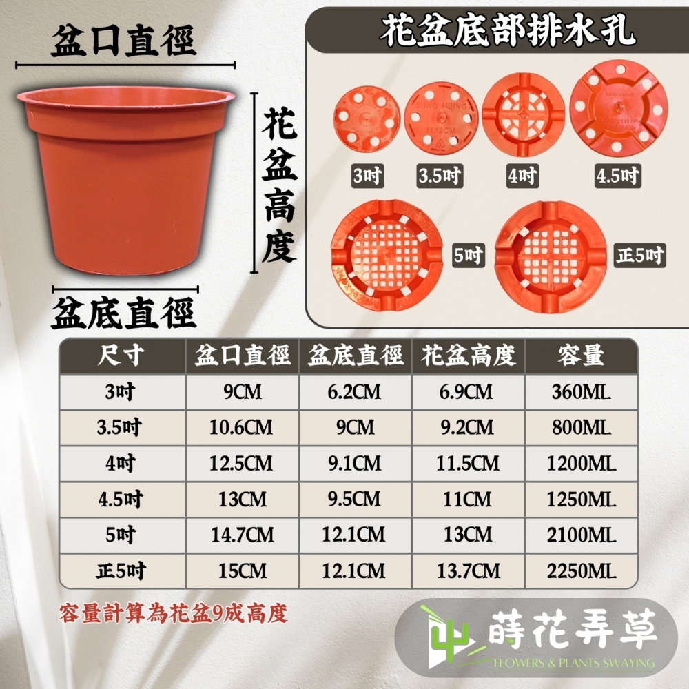 荷蘭盆(3吋~5吋)