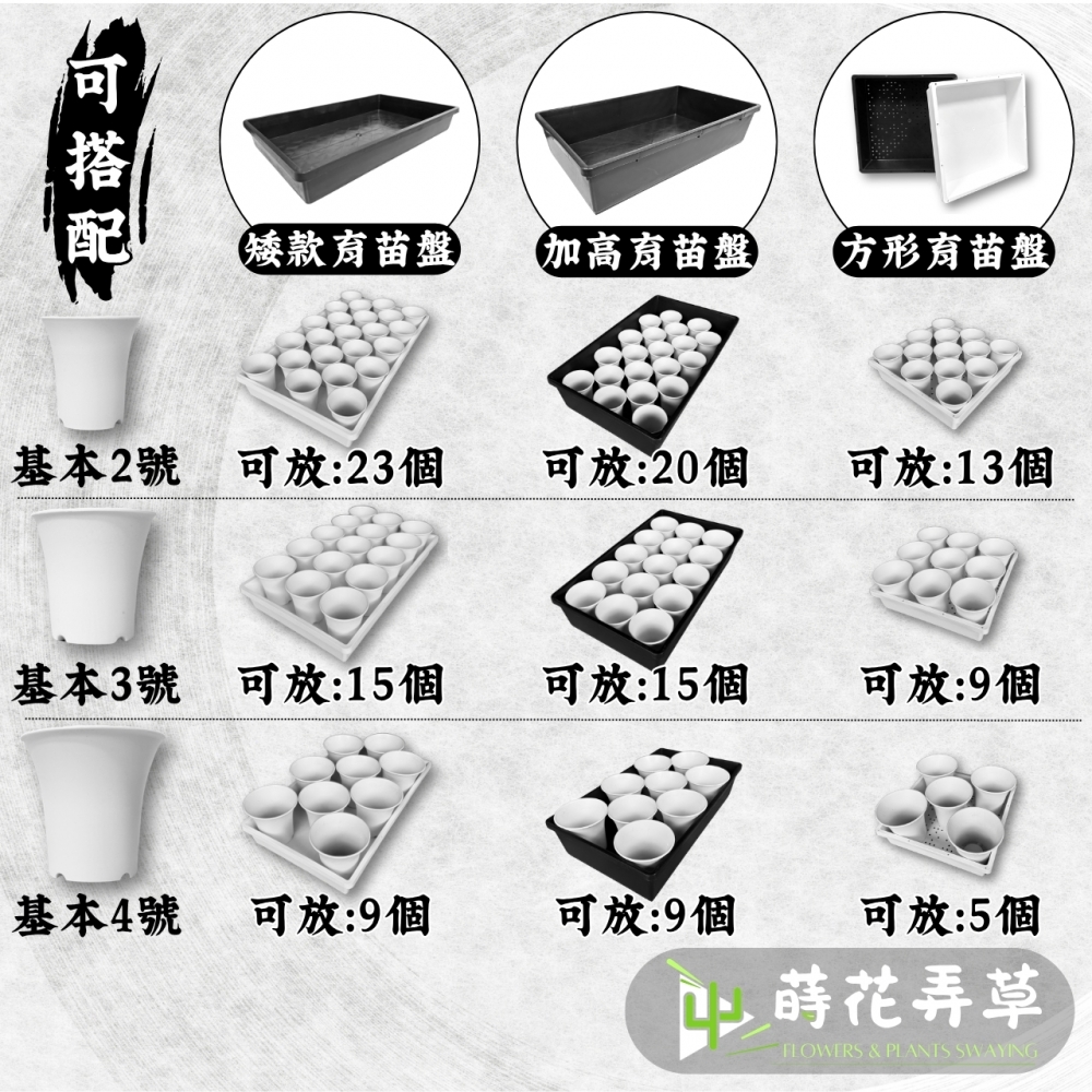多肉丸盆(多尺寸)